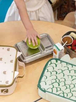 SoYoung Dino Scales Lunch Box Outlet